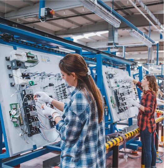 electronics-plant-img
